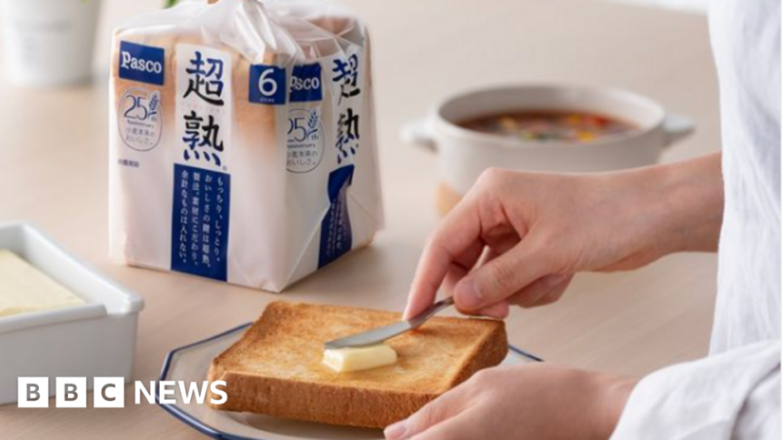 Rat remains found in bread triggers Japan recall and refunds