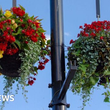 Hanging baskets may return to safety rules-hit town