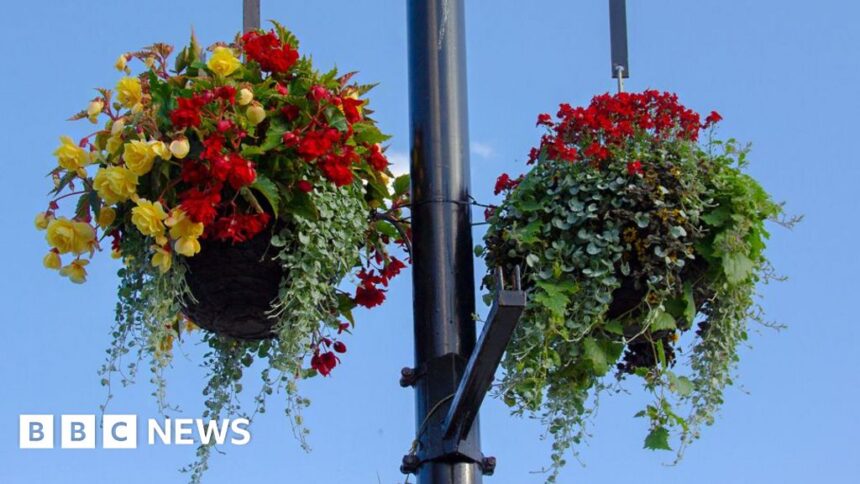 Hanging baskets may return to safety rules-hit town