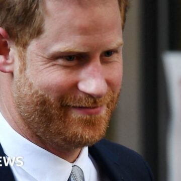 Prince Harry will not see King during UK visit