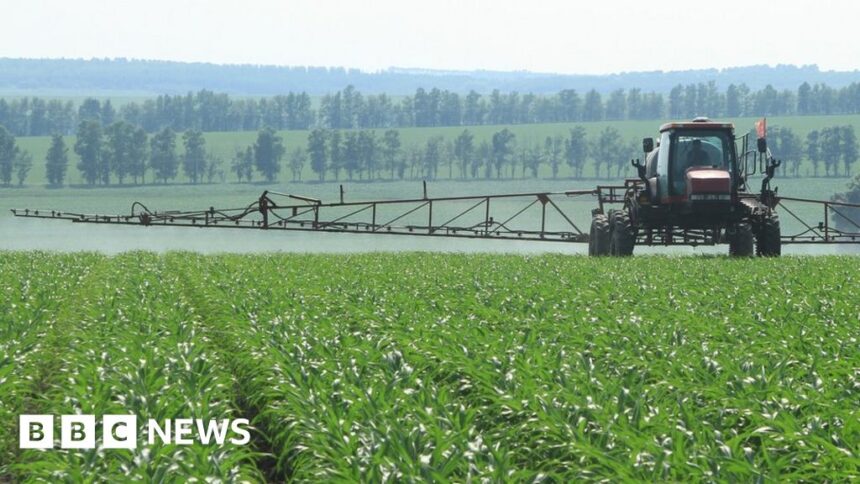 Why firms are racing to produce green ammonia