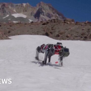 Robot dog trains to walk on Moon in Oregon trials