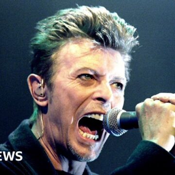 Hyenas and wild pigs feature in new David Bowie remix