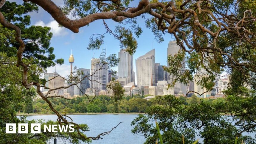 Sydney’s tree wars: Greed and harbour views fuel vandalism