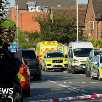 'Truly horrific': How the Hainault attack unfolded