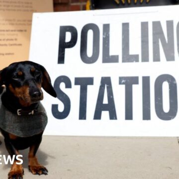 Local elections 2024: Voting under way in England and Wales