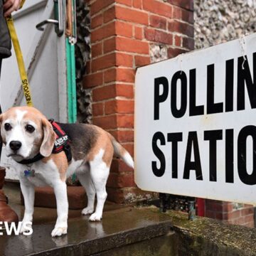 Selfies, dogs and drinking: What can’t you do in a polling station?