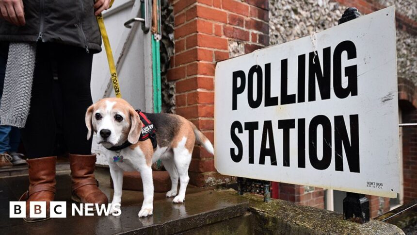 Selfies, dogs and drinking: What can’t you do in a polling station?