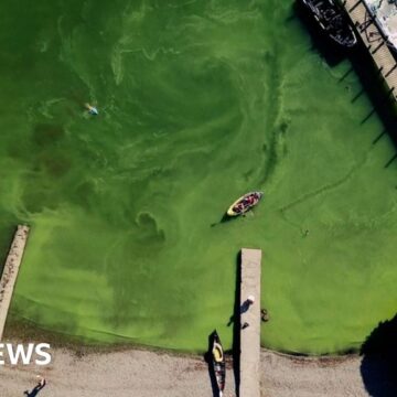 Tourist influx turns Lake Windermere green, researchers say