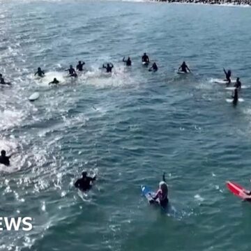 Mexico: Surfers pay tribute to tourists found dead