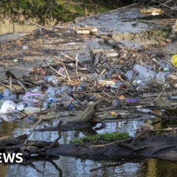 OEP watchdog criticises government’s water clean-up plans for England