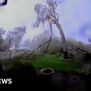 Doorbell camera captures tornado winds tearing down trees