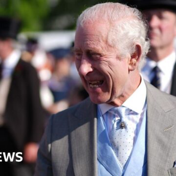 Watch: King Charles greets guests at Buckingham Palace garden party