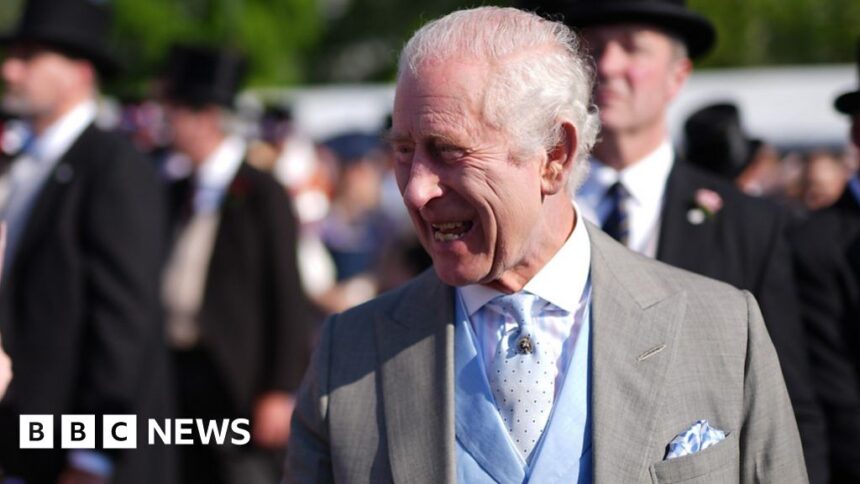 Watch: King Charles greets guests at Buckingham Palace garden party