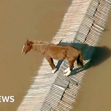 Horse stranded on rooftop and airport floods in Brazil