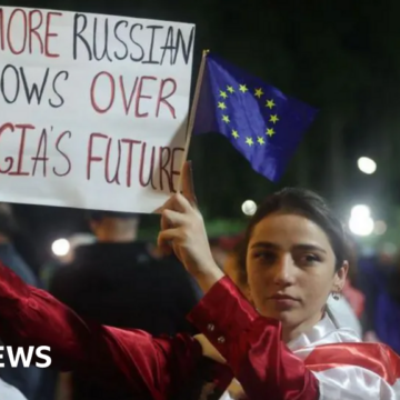 Georgia opposition urges UK to oppose 'Russian law'