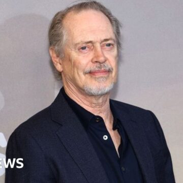 Steve Buscemi punched while walking street in New York City