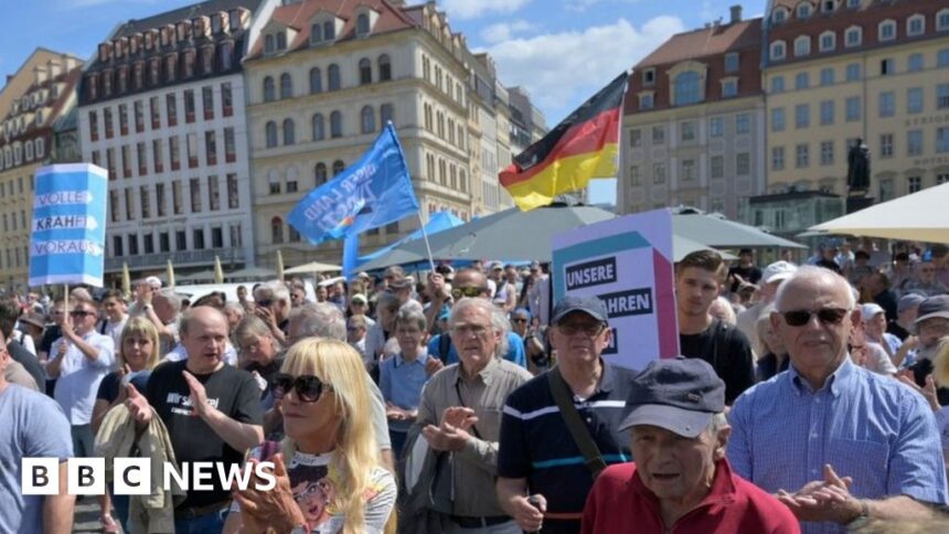 Germany: Court backs AfD’s suspected-extremist status