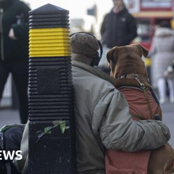 Police powers in rough sleepers law watered down after Tory opposition