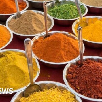 MDH and Everest: Indian spices face heat over global safety concerns