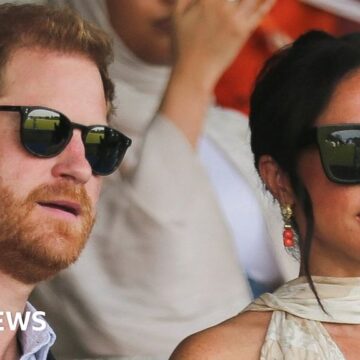 Lost cheque blamed for Harry and Meghan’s charity error