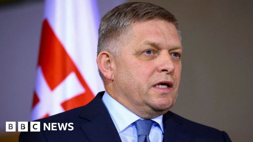 Slovakia PM Robert Fico stable after further surgery