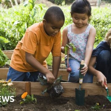 Chelsea Flower Show 2024: Children plot garden takeover