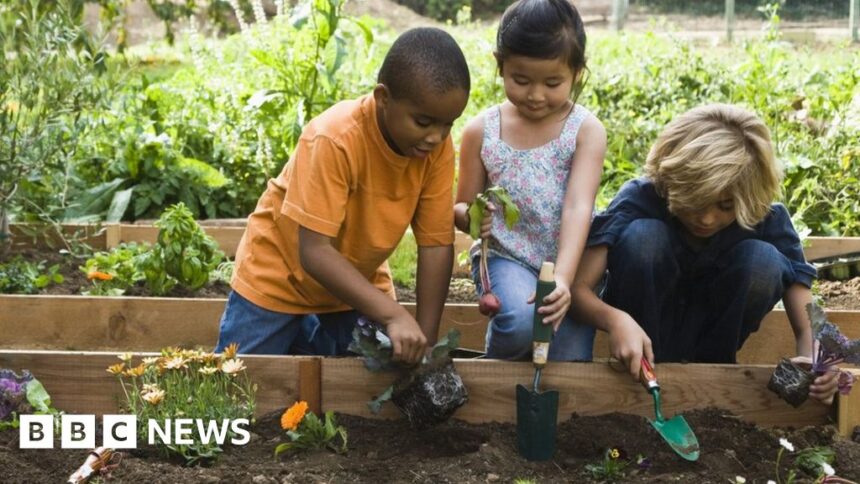 Chelsea Flower Show 2024: Children plot garden takeover