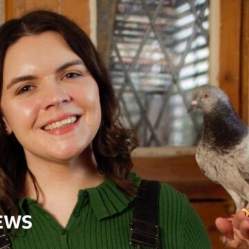 PR for pigeons: Woman’s mission to give the birds a better image