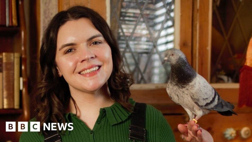 PR for pigeons: Woman’s mission to give the birds a better image