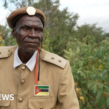 Mozambique tree loss: ‘It’s possible to regain the forest we once had’