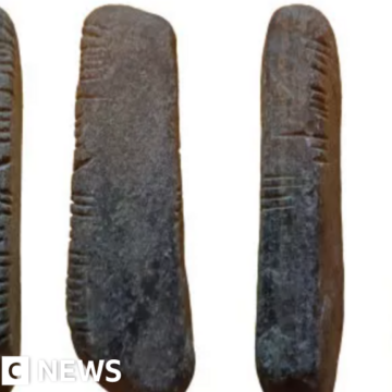 Stone with ancient writing system unearthed in garden