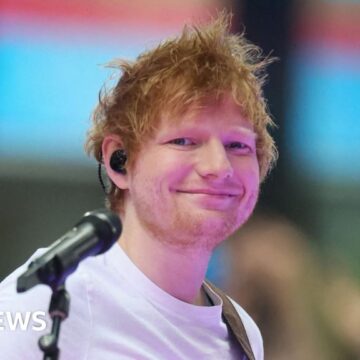 Sheeran ticket touts are second to fall foul of law