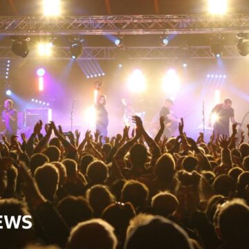 Towersey festival forced to ‘bow out’ after 60 years