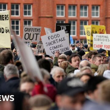 Protest-hit farm subsidy plan pushed back by year