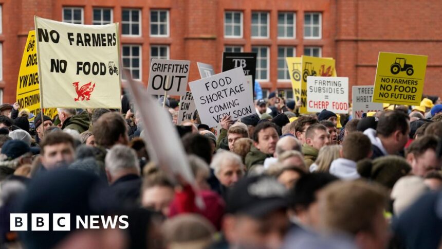 Protest-hit farm subsidy plan pushed back by year