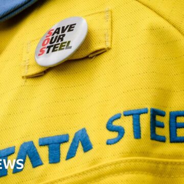 Tata deal dubbed 'state sponsored decimation'