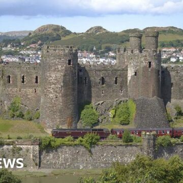 What expected general election might look like in Wales