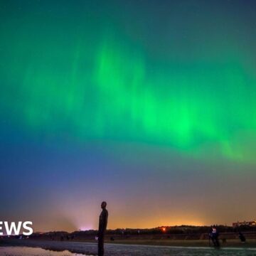 How aurora fever put scientists' app up in lights