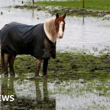 Climate change made UK's waterlogged winter worse