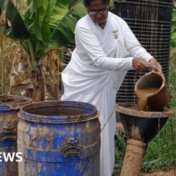 Cow dung's key role in India's energy industry