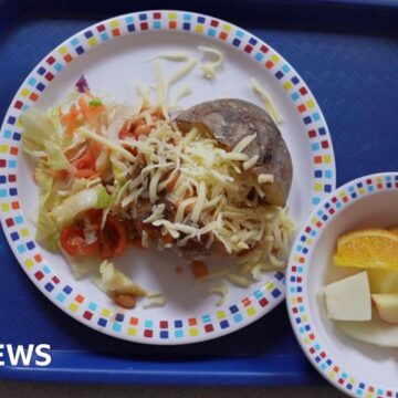 Children hungry after school meals, says commissioner