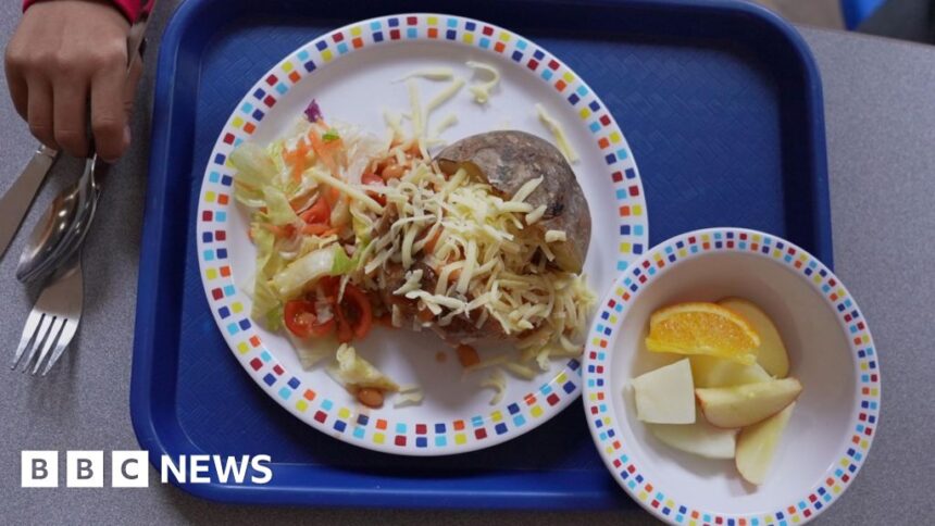 Children hungry after school meals, says commissioner