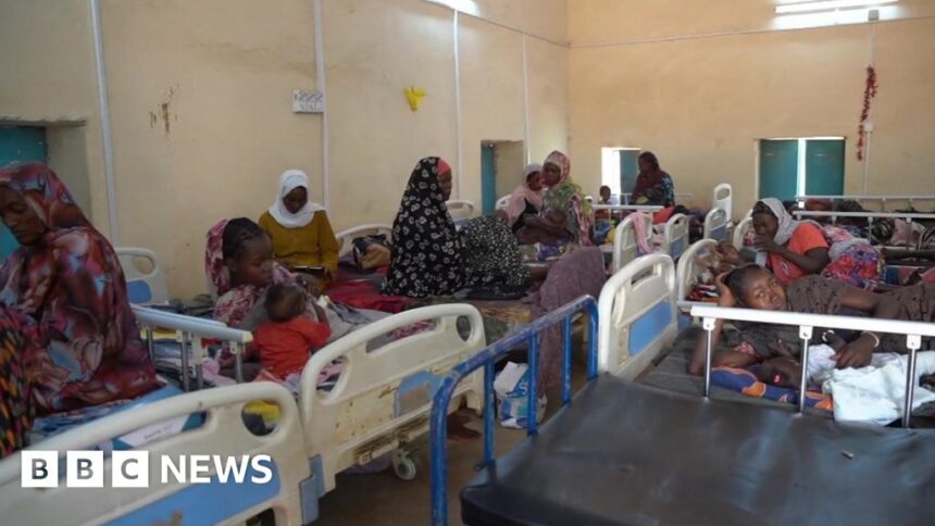 Children killed as bomb falls near Sudan hospital – MSF