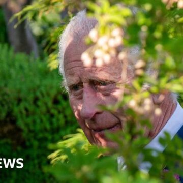 King and Queen visit Chelsea Flower Show