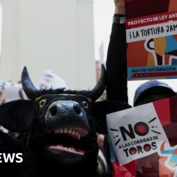 Colombian Congress votes to ban bullfighting