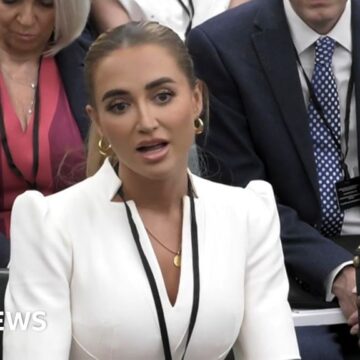 Revenge porn video like 'house fire', star tells MPs