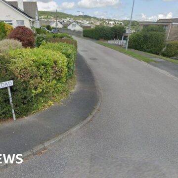 St Austell woman in her 90s attacked by dog, say police