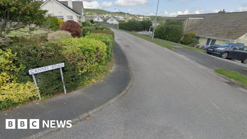 St Austell woman in her 90s attacked by dog, say police