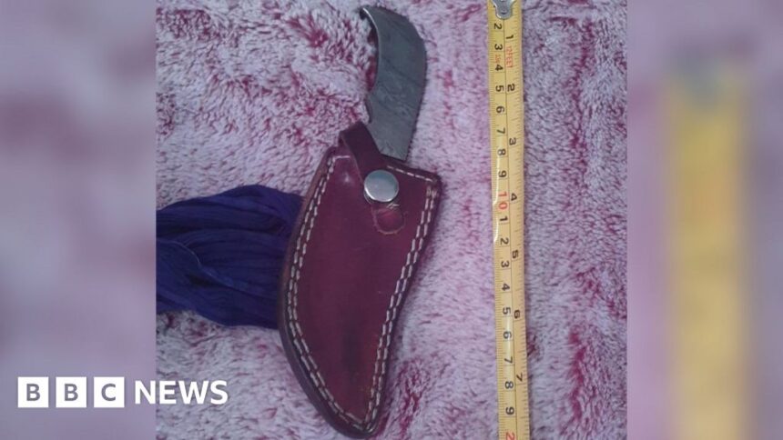 Child 'scared' as Sikh blades removed on Eurostar